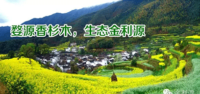 金利源板材/金品質 源生態.從源頭精挑細選，為品質保駕護航——中國板材十大品牌品質篇